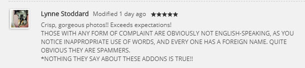 SpotFakeReviews2